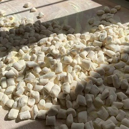 宾馆 泽恩德拉利石窟宾馆 *