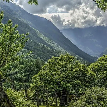 Värdshus Grotto Zendralli Roveredo