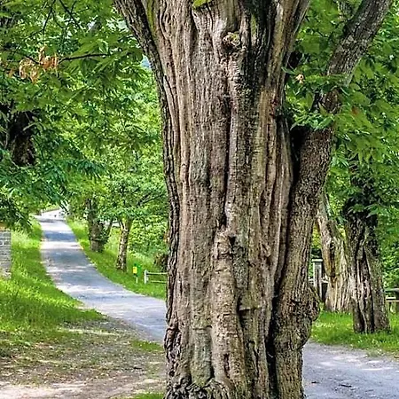 Grotto Zendralli Värdshus