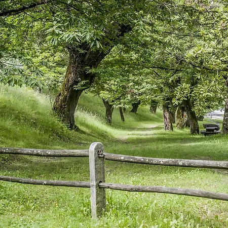 泽恩德拉利石窟宾馆 Roveredo