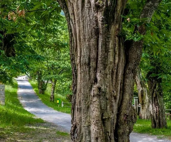 Grotto Zendralli Kro