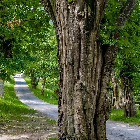 Grotto Zendralli אורחן