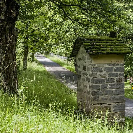 Grotto Zendralli אורחן